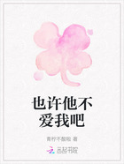 也许他不爱我吧在线阅读