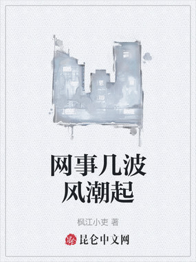 网事几波风潮起在线阅读
