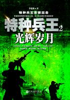 特种兵王2：光辉岁月