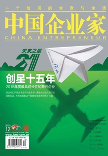 中國企業家（2015年第12期）