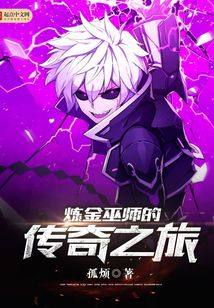 炼金巫师的传奇之旅 cover