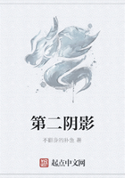 第二陰影在線閱讀