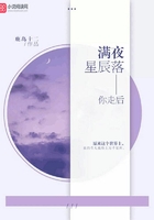 你走后，满夜星辰落