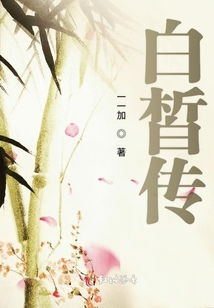 白皙傳