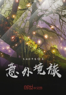 意外境族