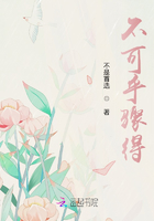 不可乎骤得在线阅读