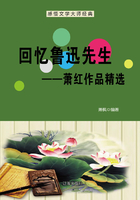 回忆鲁迅先生：萧红作品精选（感悟文学大师经典）在线阅读