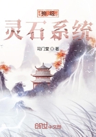 神级灵石系统在线阅读