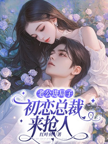 老公进局子，初恋总裁来抢人