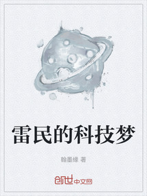 雷民的科技夢