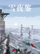 雪夜鉴在线阅读