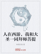人在西游,我和大圣一同拜师菩提在线阅读