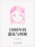 1988年的遇见与纠缠在线阅读