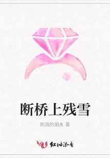 斷橋上殘雪