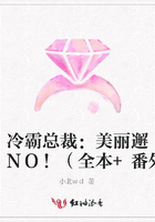 冷霸總裁：美麗邂逅，NO！（全本+番外）在線閱讀