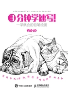 3分钟学速写！一学就会的铅笔绘画在线阅读