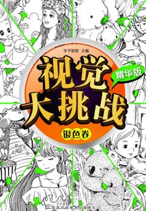 视觉大挑战：精华版·银色卷