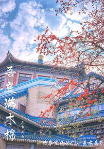 吾庭滿木棉