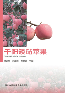 千阳矮砧苹果