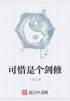 可惜是个剑修在线阅读