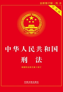 中华人民共和国刑法（实用版）（根据修正案十修订）（2017年版）