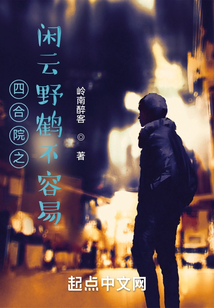 四合院之閑云野鶴不容易