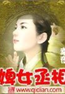 婢女丞相