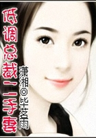 低調總裁二手妻在線閱讀