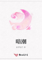 暗潮在线阅读