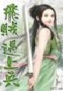 飞贼遇上兵