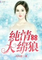 妻寵過度：純情大綿狼在線閱讀