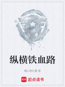 縱橫鐵血路