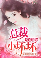 替嫁新娘:总裁小坏坏在线阅读
