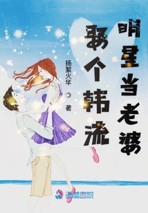 娶个韩流明星当老婆
