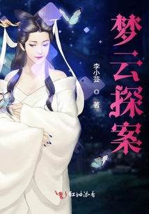 夢云探案