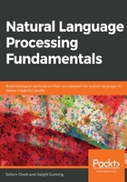 Natural Language Processing Fundamentals在线阅读