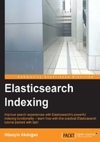 Elasticsearch Indexing在線閱讀