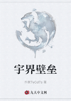 宇界壁垒在线阅读