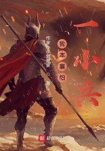 我本襄陽一小兵