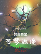 完美的宝可梦旅途在线阅读