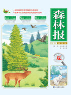 森林报:夏(彩色插图版)在线阅读