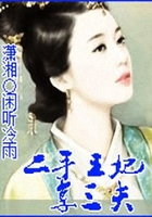 二手王妃在線閱讀