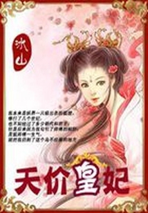 痞女囧皇宫：天价皇妃