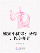 盛寵小徒弟：圣尊，以身相罰在線閱讀