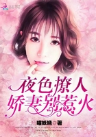 夜色撩人：嬌妻，別惹火在線閱讀