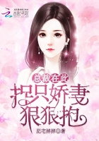 總裁在此：捉只嬌妻狠狠抱在線閱讀