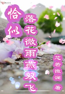 恰似落花微雨燕双飞
