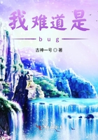 我难道是bug