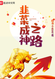 韭菜成神之路