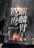 鸳鸯麒麟臂在线阅读